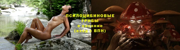 гидра Алзамай