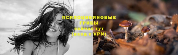 гидра Алзамай