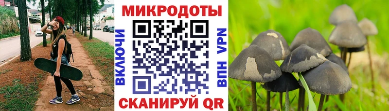 mega рабочий сайт  Суджа  Галлюциногенные грибы Cubensis  купить  сайты 